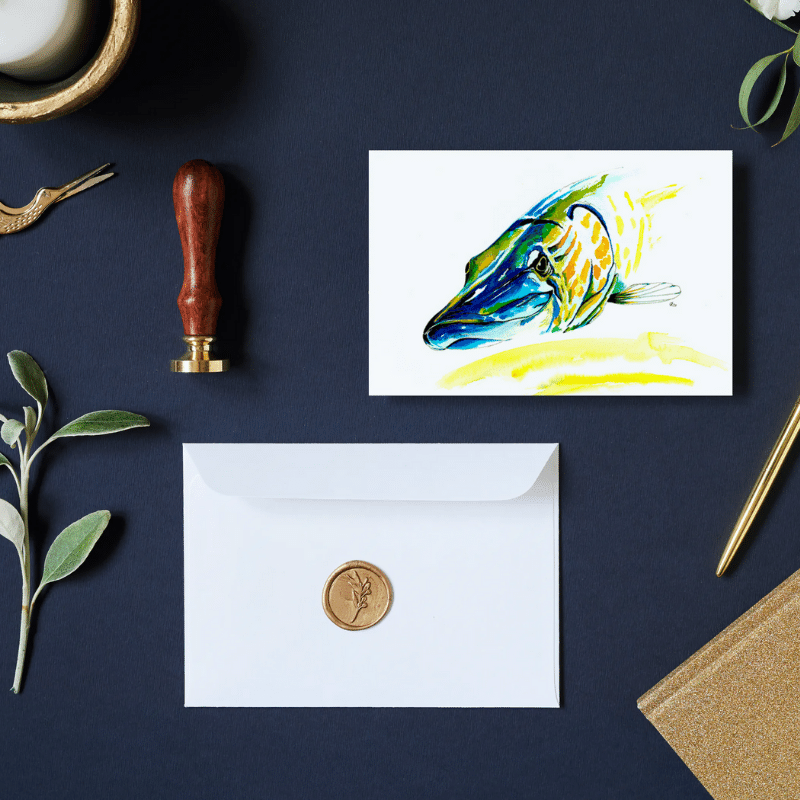 Brochet 039 - Carte Postale 10-15