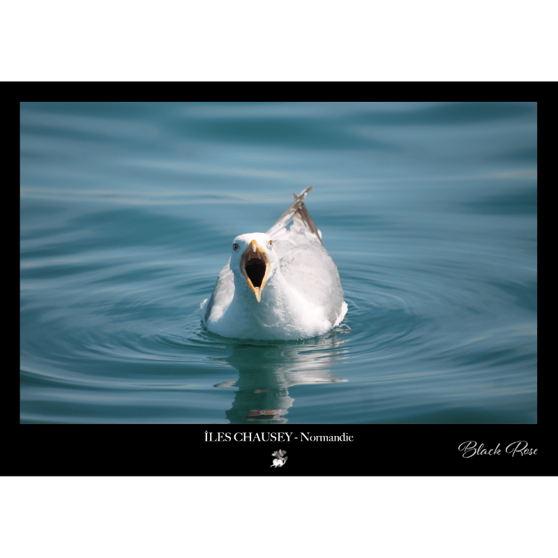 Ensemble photo - 21 x 30cm