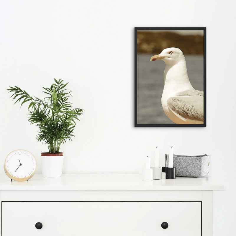Goéland photo 159 - Poster 21x29.7cm