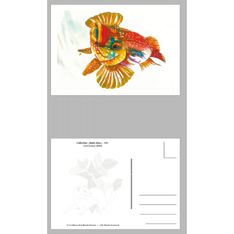 Vieille 030 - Carte postale recto - verso