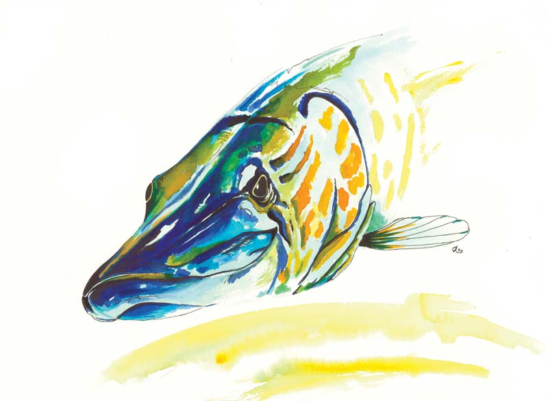 039-1-B